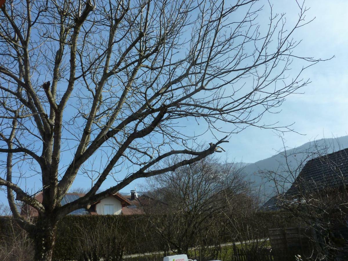Villa Studio 30 M2 Jardinet 10Minutes Annecy Naves-Parmelan Exterior foto
